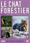 Nos voisins sauvages Vol. 9 - Le chat forestier : Sauvage