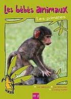 Les Bbs animaux - Les primates