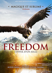 Freedom, l'envol d'un aigle