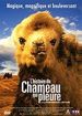 L'Histoire du chameau qui pleure