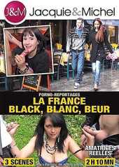 Porno Reportages : La France Black, Blanc Beur