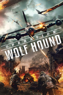 Opration Wolf Hound