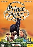Les Aventures de Prince Noir - Saison 2 - DVD 1