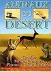 Animaux du dsert - Gazelles, petites cratures, fennec & chat des sables
